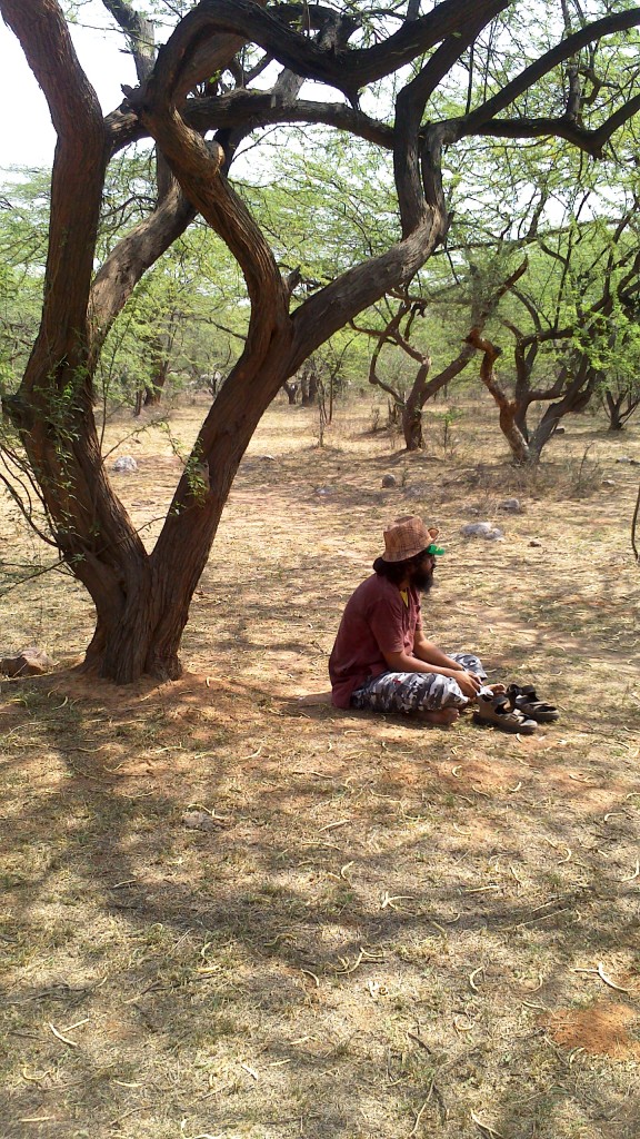 Habitat Restoration at Asola Bhatti Wildlife Sanctuary