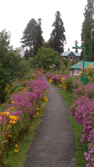 Flowery Hotel Highlands Park, Gulmarg, Kashmir