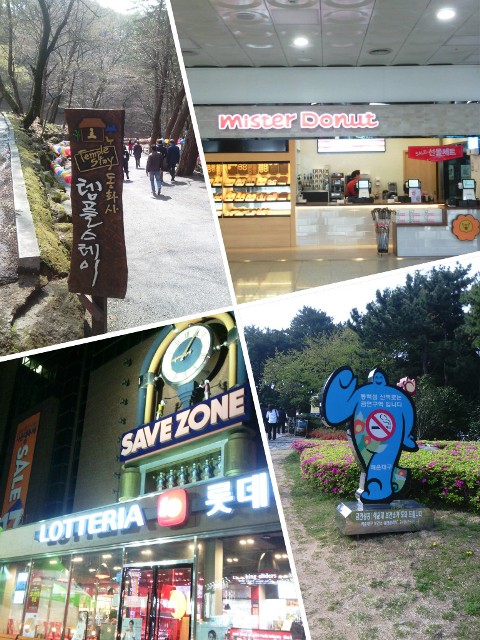 wwatch the sign posts in Korea