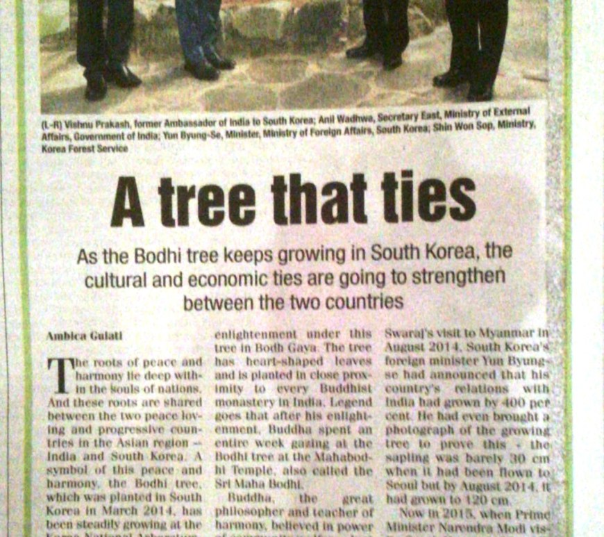 India korea bodhi tree
