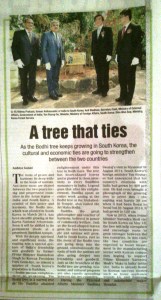 Newspaper clipping of an article by Ambica Gulati titled  'A Tree That Ties' from the May 18, 2015, edition of The Times of India, featuring a story on the India-South Korea Bodhi tree gift
