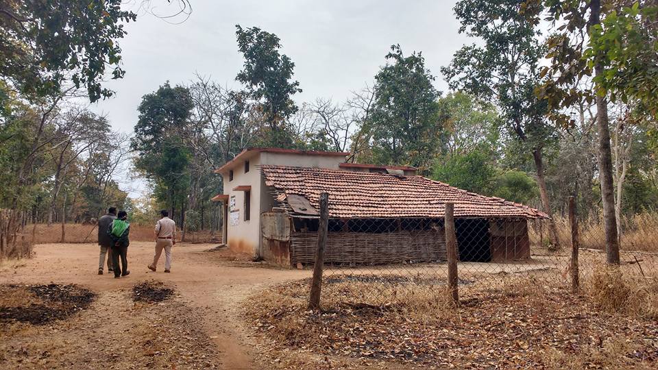 Base Camp 36, Tiger Census 2018, Pench Tiger Reserve, Madhya Pradesh, India