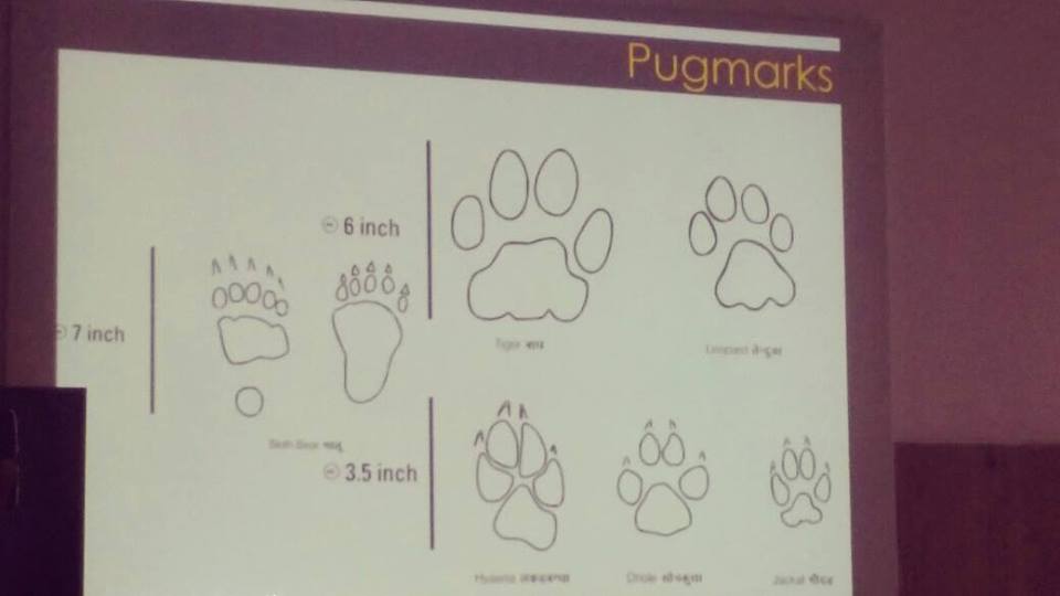 The Orienttation programme, Tiger Census 2018, Pench Tiger Reserve, Madhya Pradesh, India