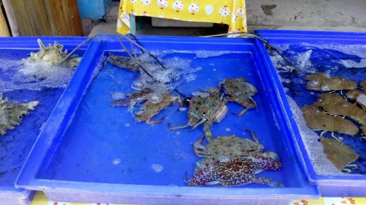 Parasailing in Pattaya, Thailand