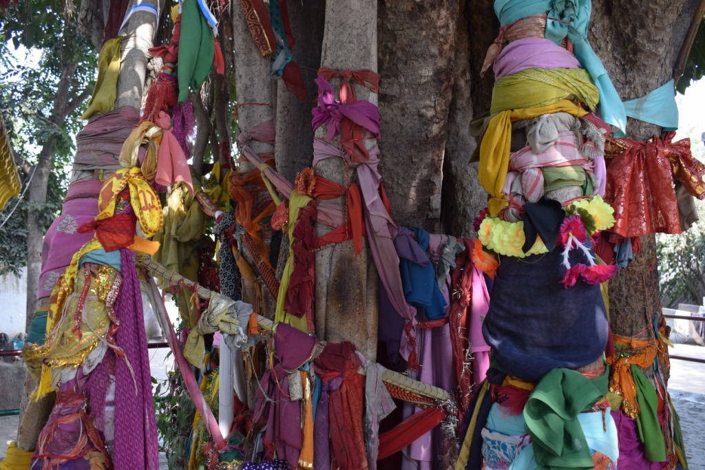 Bansivat, Vrindavan, Uttar Pradesh, India