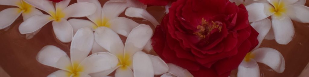 Flowers, roses and champa,