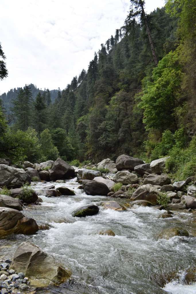 River Phalachan, Tirthan, Himachal Pradesh, India