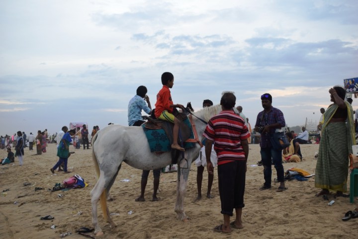 horse rides, Marina Beach, Chennai, Tamil Nadu, India