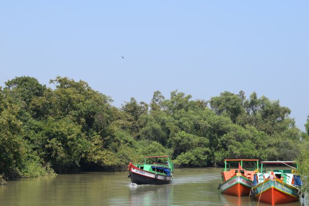 Boats at Khola, Bhitarkanika