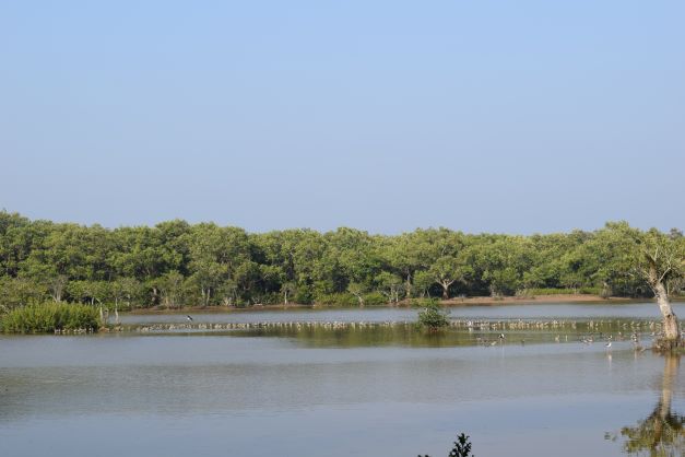 Water bodies inside Bhitarkanika Mangrove Forest island, Odisha