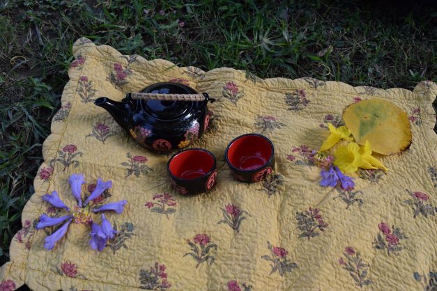 Freshly brewed herbal tea . forest bathing, Rose Garden, Noida