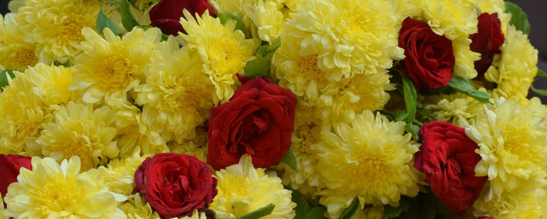 Yellow flowe rgarland for the goddess, Tirumala, Andhra Pradesh, India