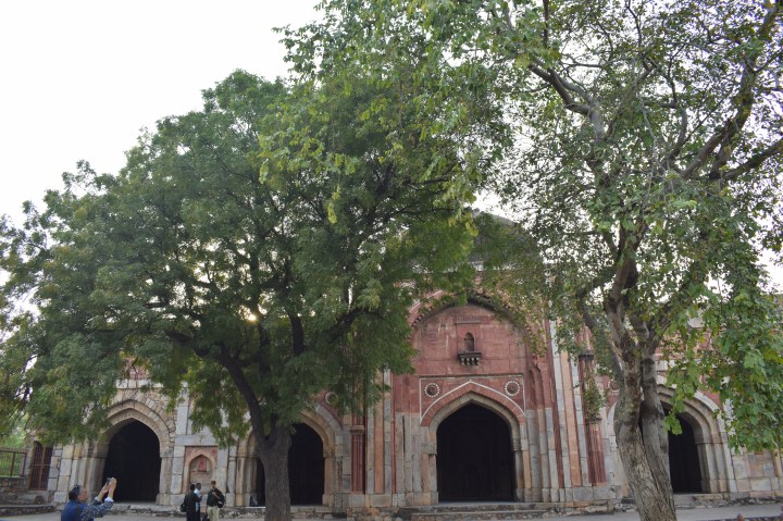 Jamali, Kamali Moque, Mehrauli Archaeological Park, New Delhi, India