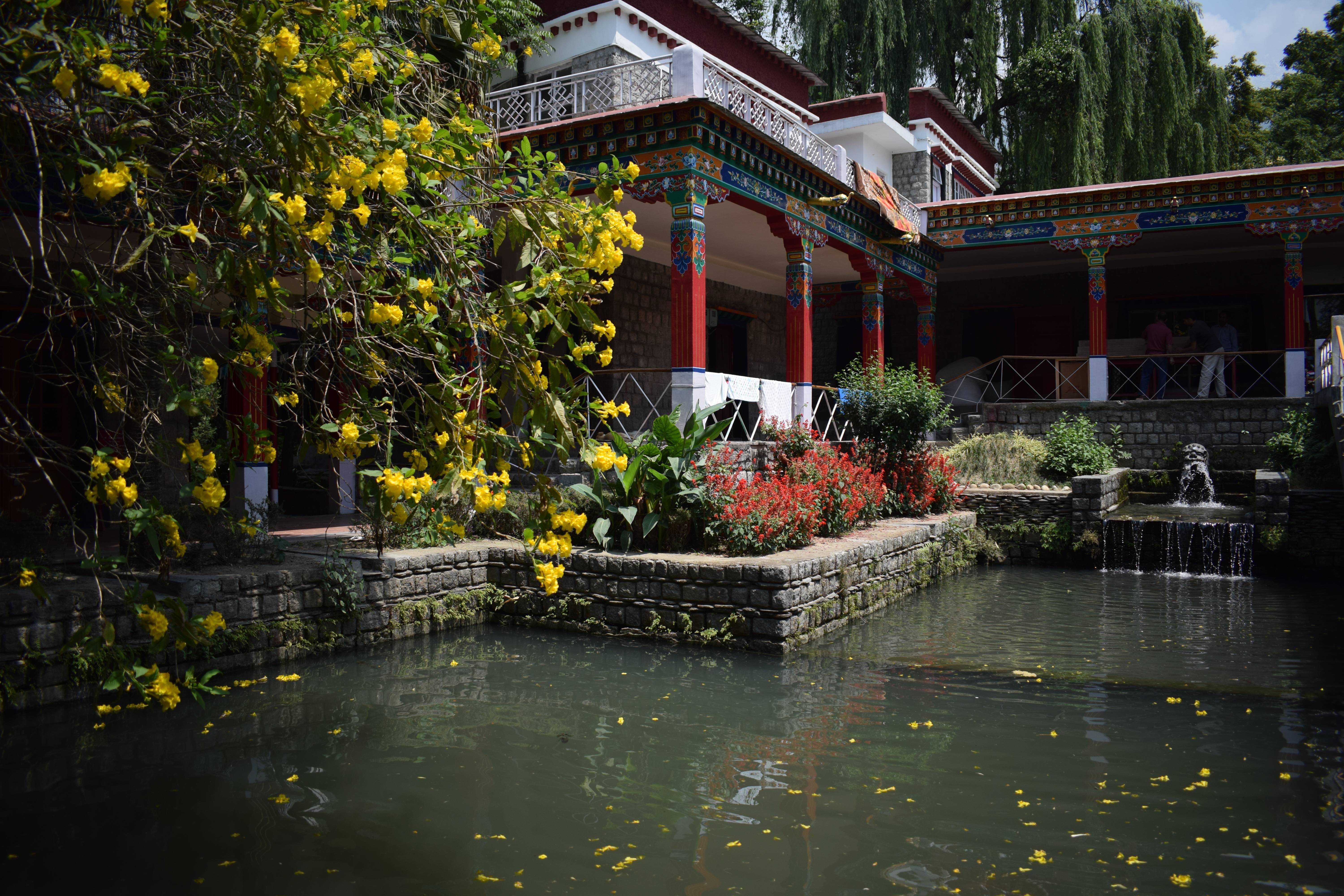 Main building, with water bodies, Norbulingka Institute of Tibetan Culture, Dharamshala, Himachal Pradesh, India,