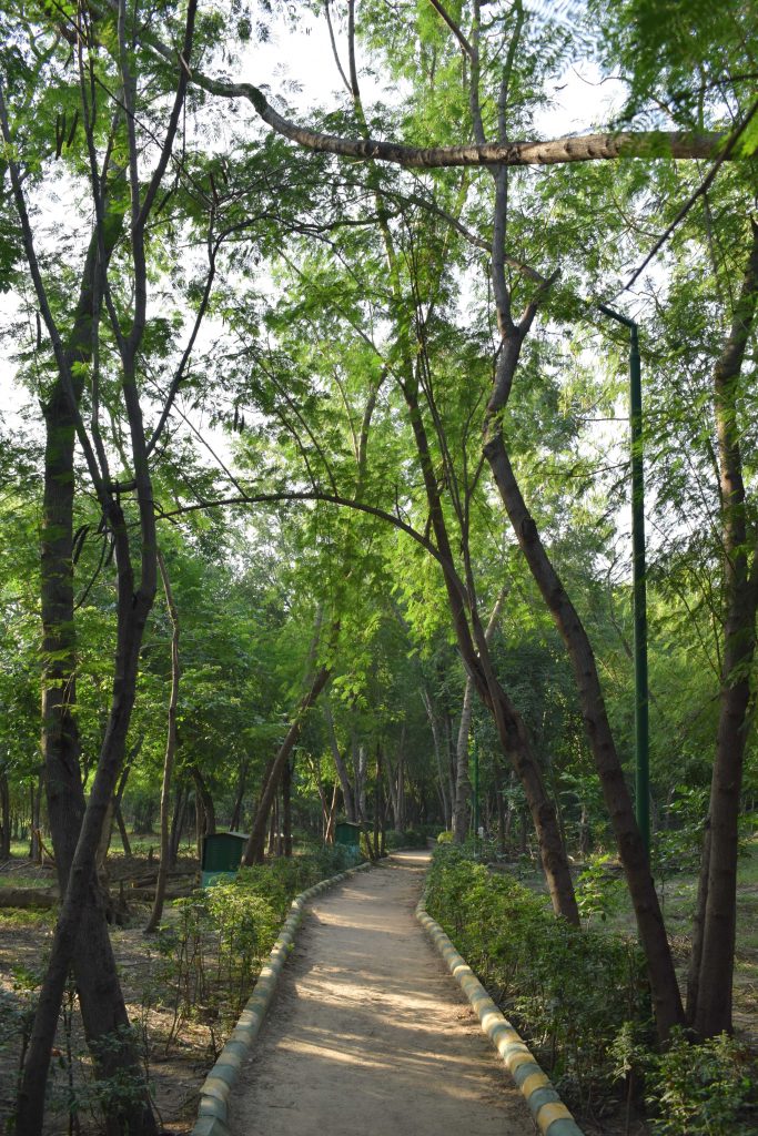 Rose Garden, Sector 15A, Noida,, Uttar Pradesh, India