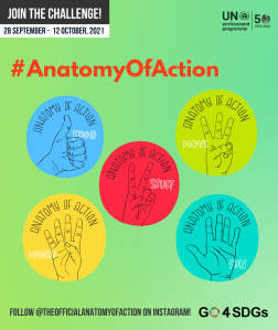 5 action areas under the Action of Anatomy Sustainable Living Challenge