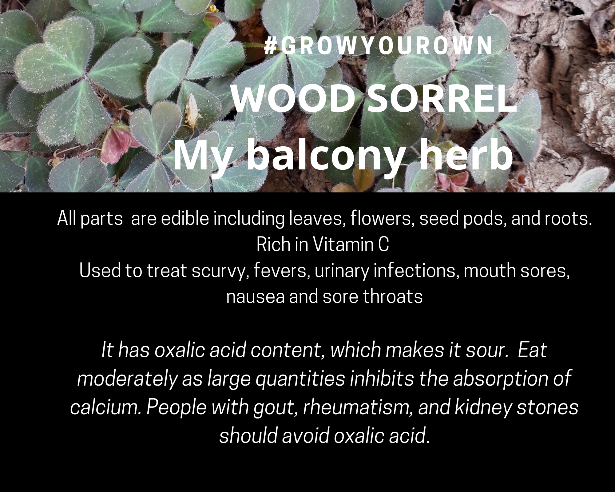 tips to Grow your own food