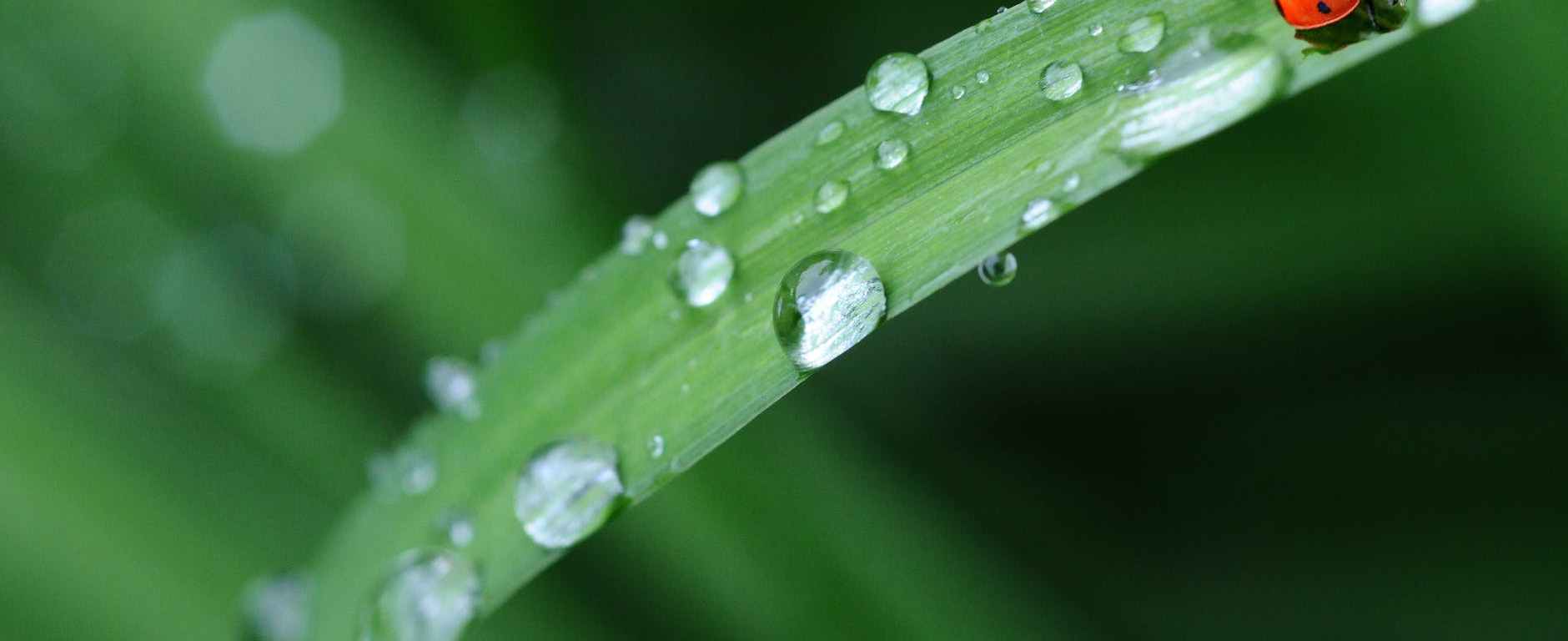 Photo by Pixabay on Pexels.com