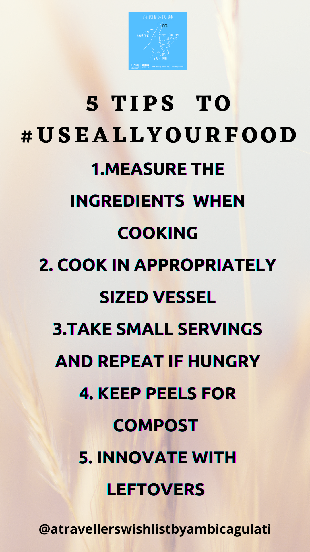 tips to USe all your food