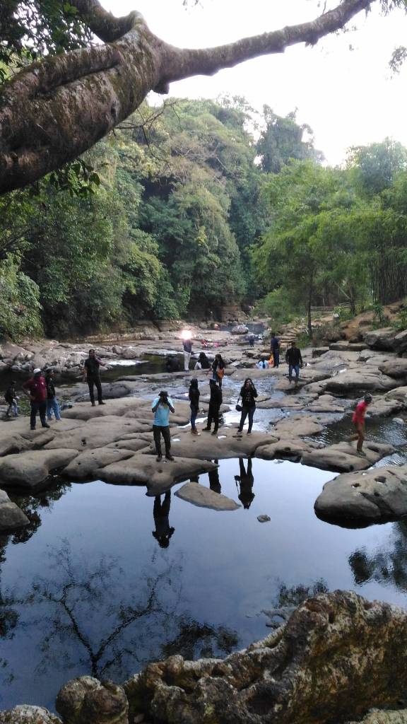 Stream flowing beneath Living Root Bridge, Riwai village near Mawlynnong, Meghalaya, India