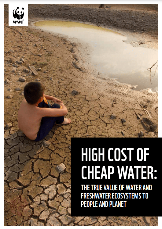Water Conservation is Crucial for Our Planet – Queen of Treasures