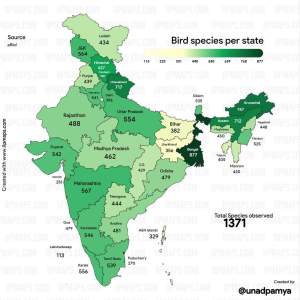 Map of India, showing the number of bird species in all the states