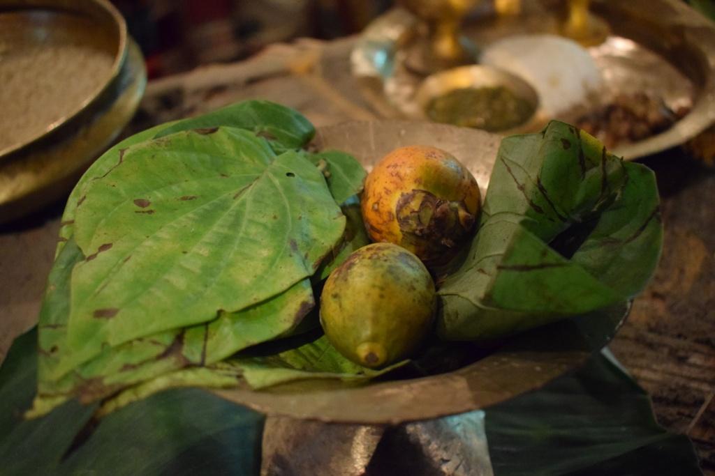 Beetel leaves, Guwahati, Assam, India