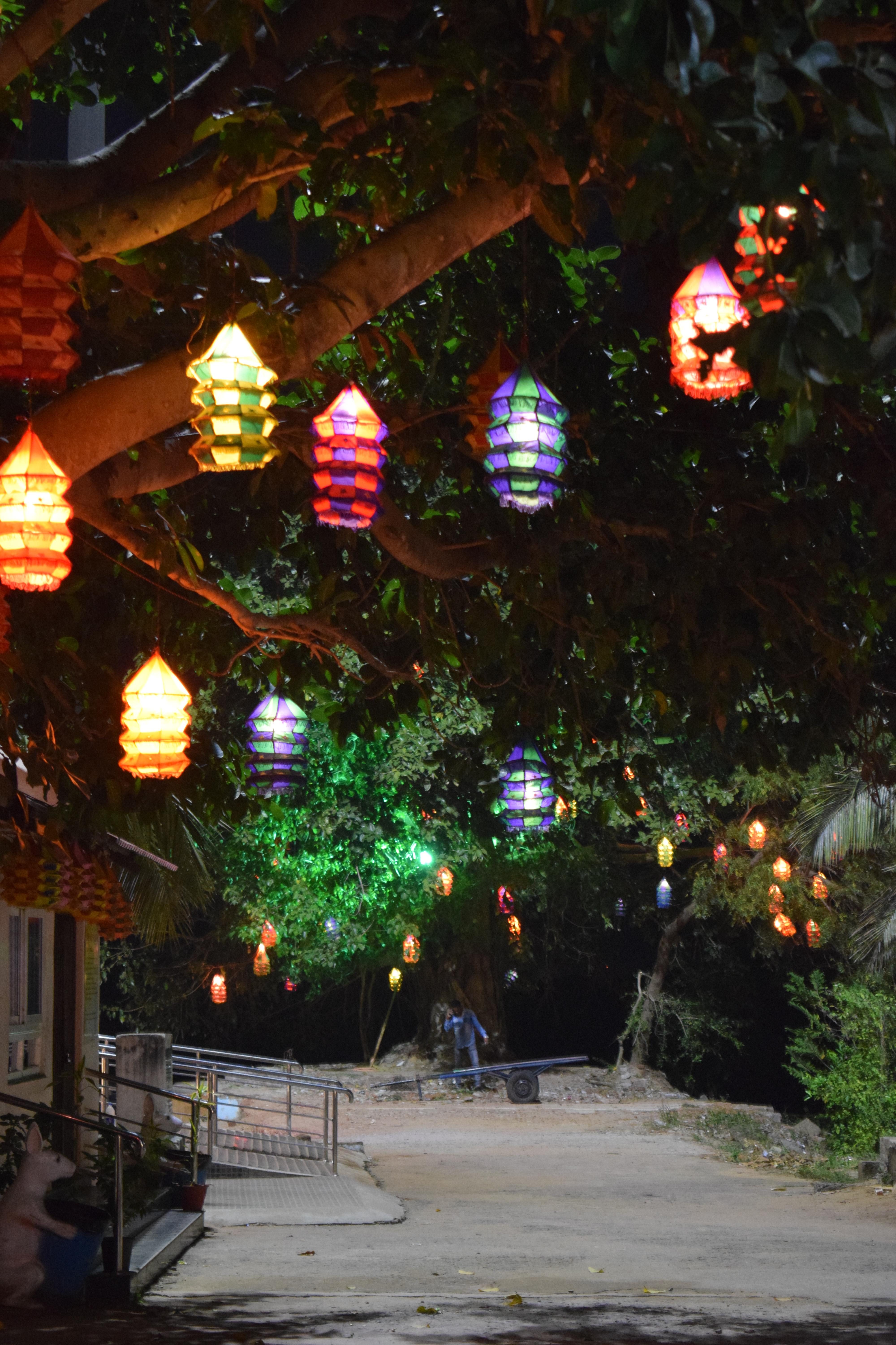 Night lights, Silver City Boat Club, Cuttack, Odisha, India