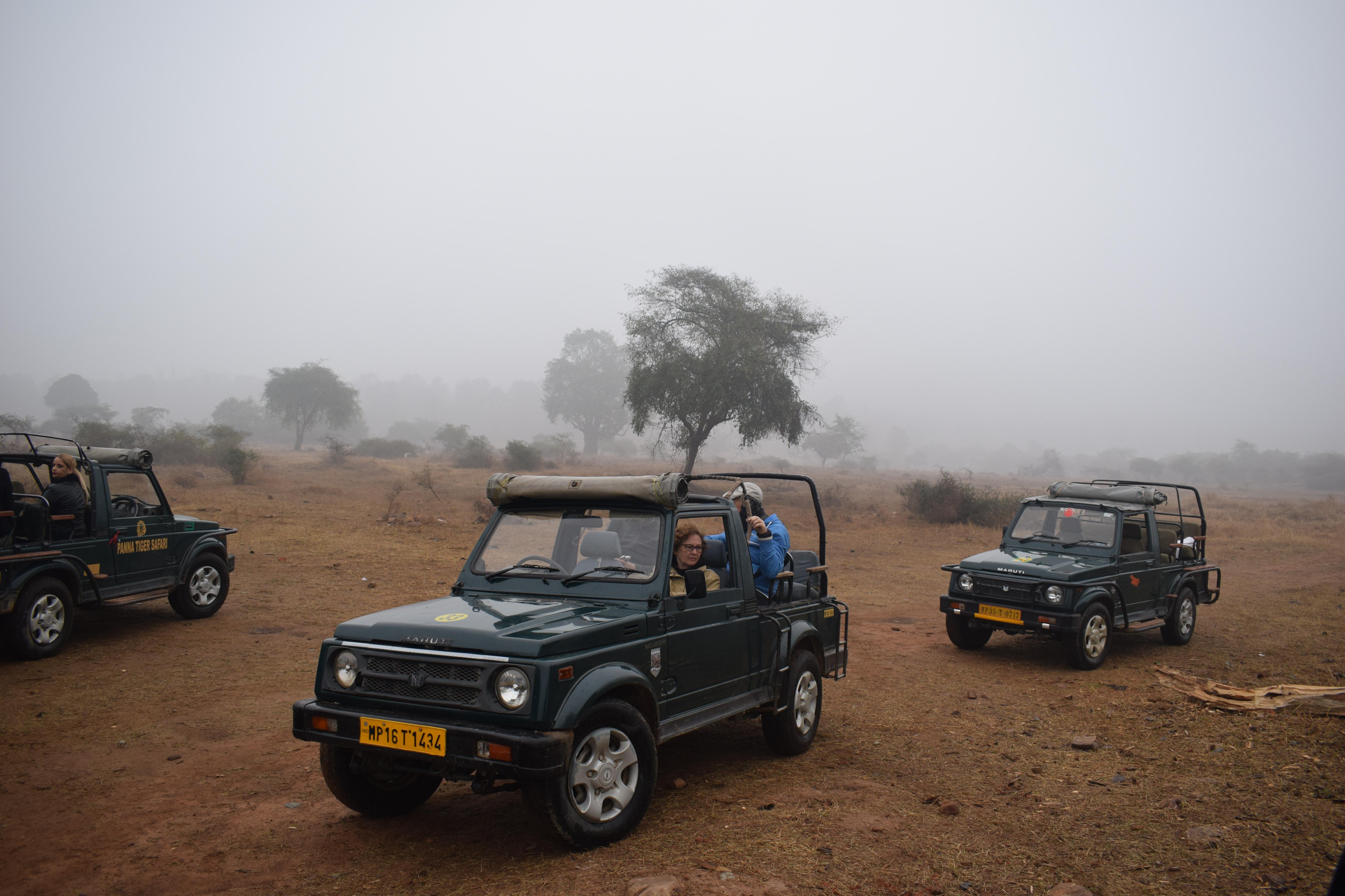 Jeep safari inside Panna National Park, Khajuraho, Madhya Pradesh, India
