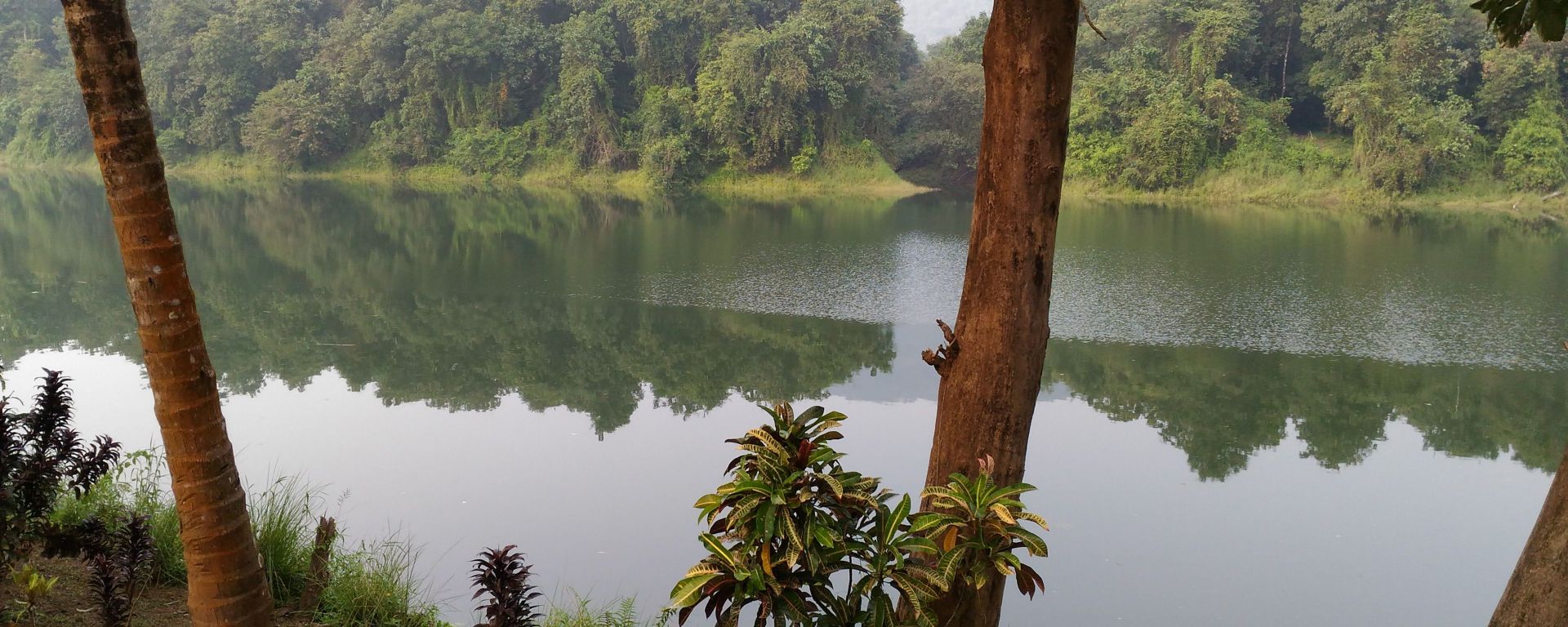 View of Periyar river, Thattekkad Bird Sanctuary, Kerala, India