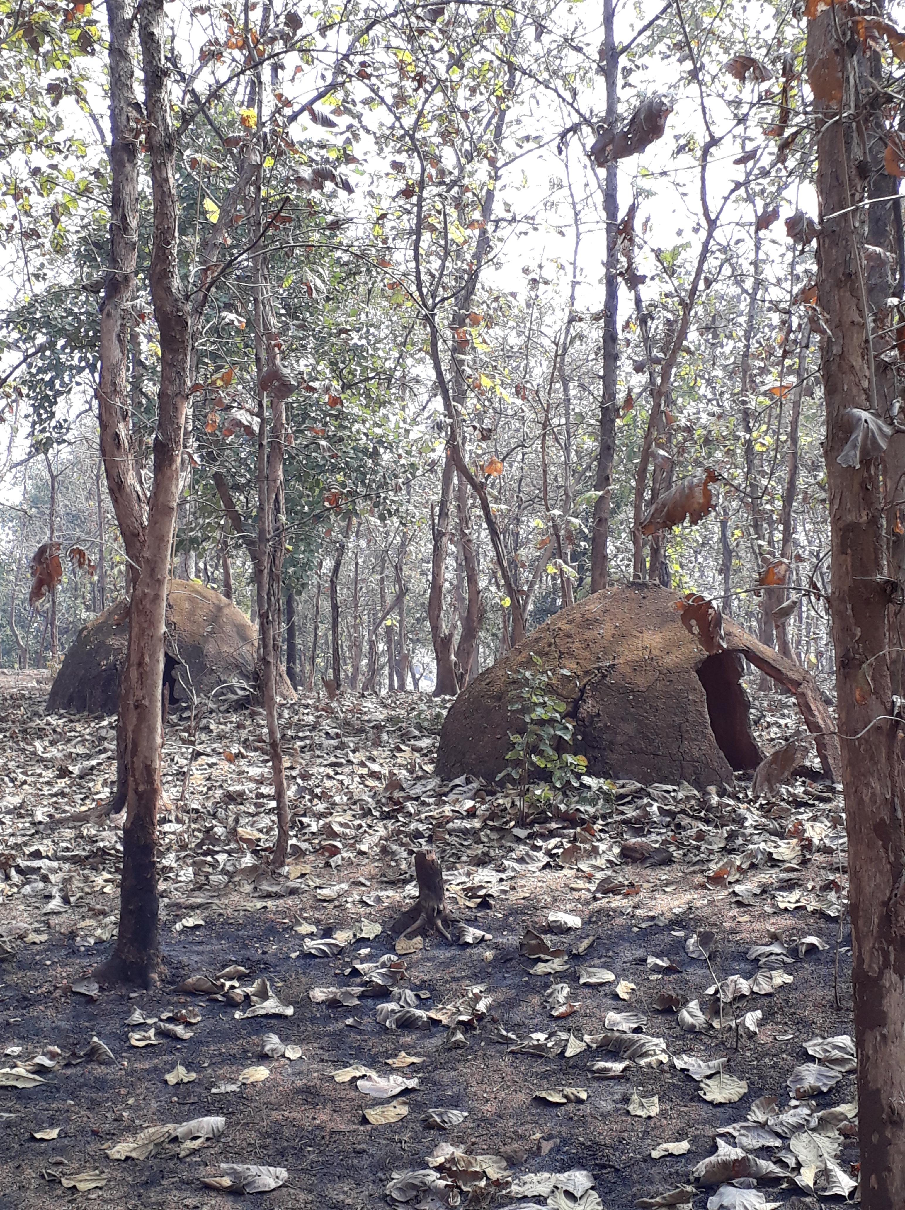 Abandoned village inside Panna Tiger Reserve, Khajuraho, Madhya Pradesh, India