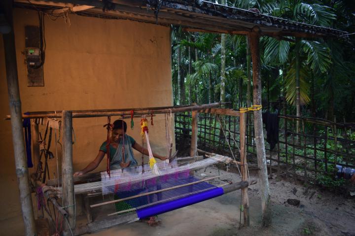 Weaver in a village near Numaligarh Refinery, Assam, India