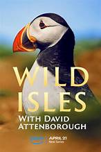 Poster of Wild Isles, presented by Sir David Attenborough, on Amazon Prime