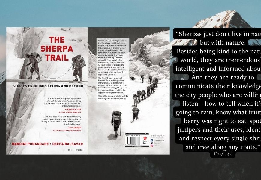 Blog banner of The Sherpa Trail
