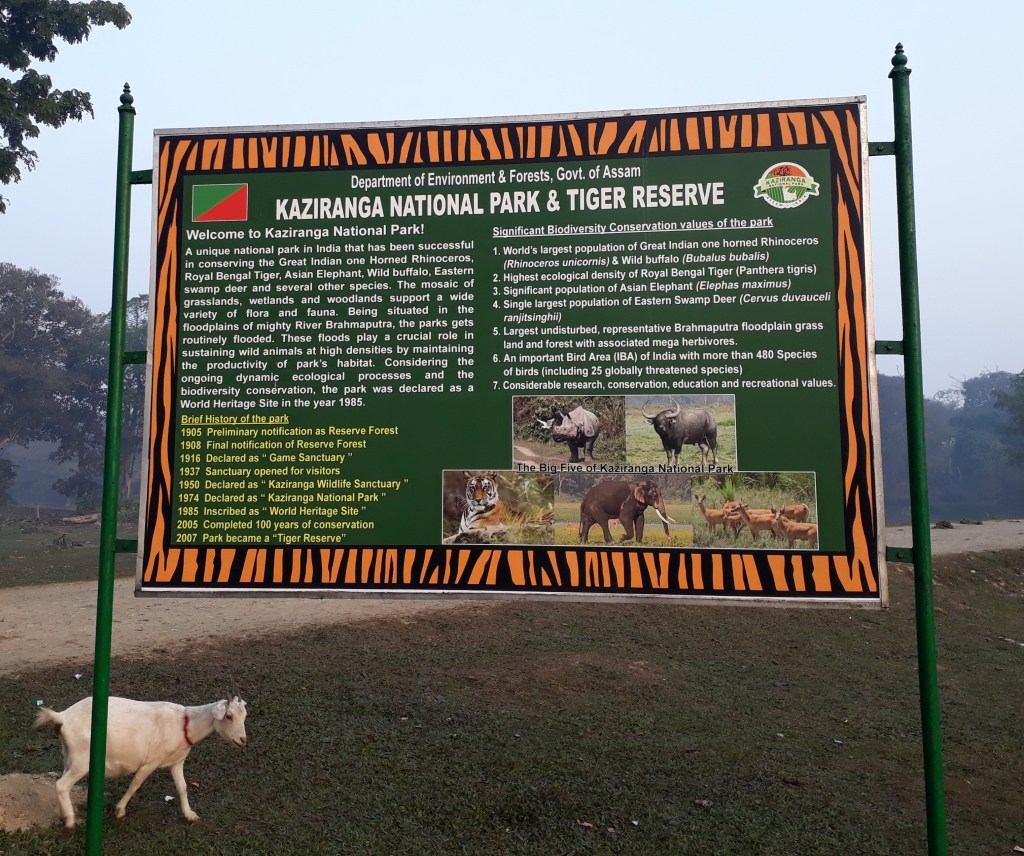  Information on Kaziranga National Park & Tiger Reserve, Golaghat, Assam, India
