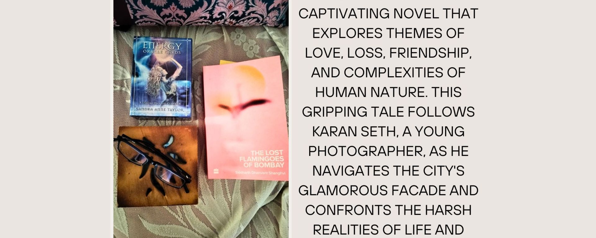 Banner of The Lost Flamingos of Bombay by Siddharth Dhanvant Shanghvi