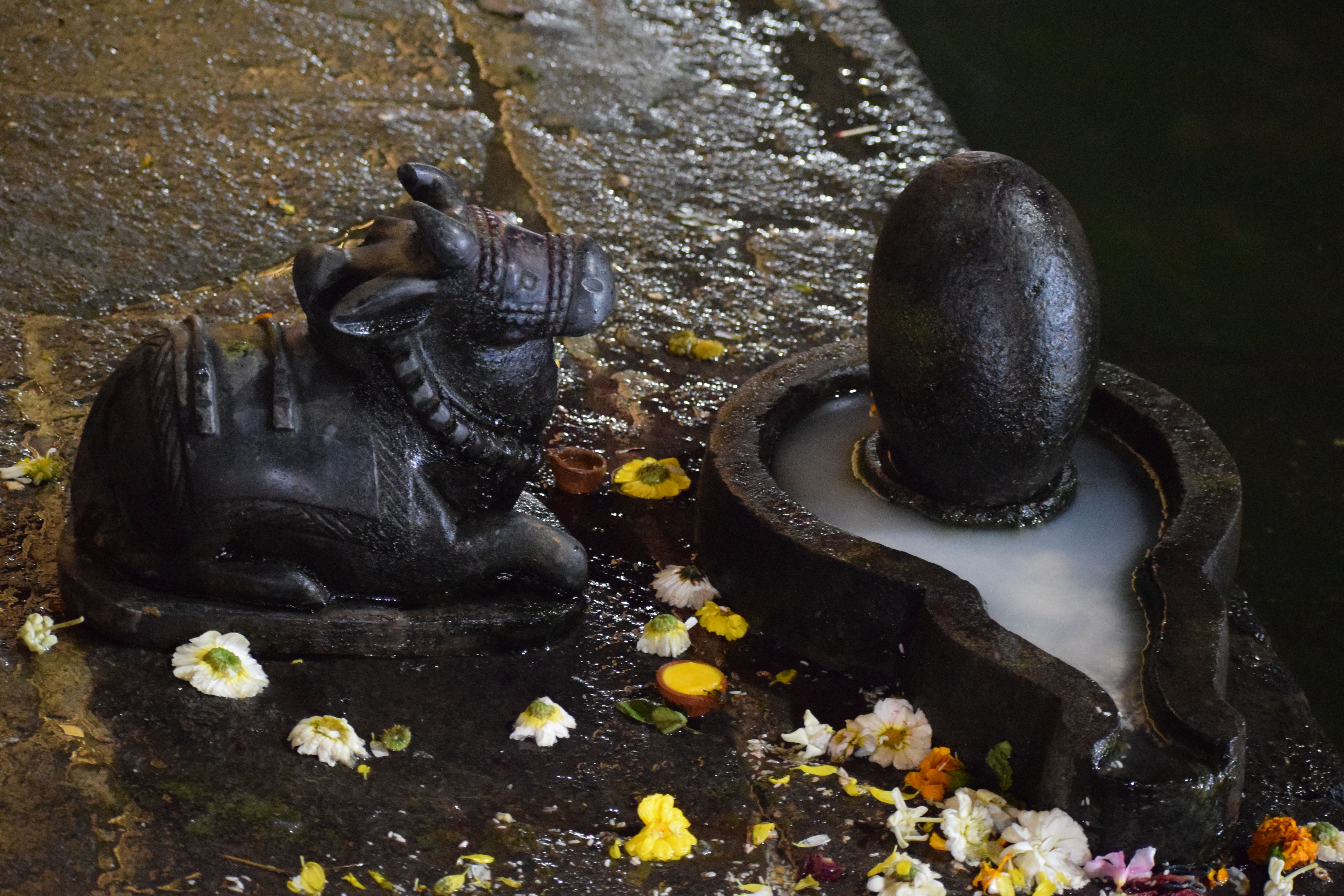 Shivalinga at Ramkund, Panchavati, Nashik, Maharashtra, India