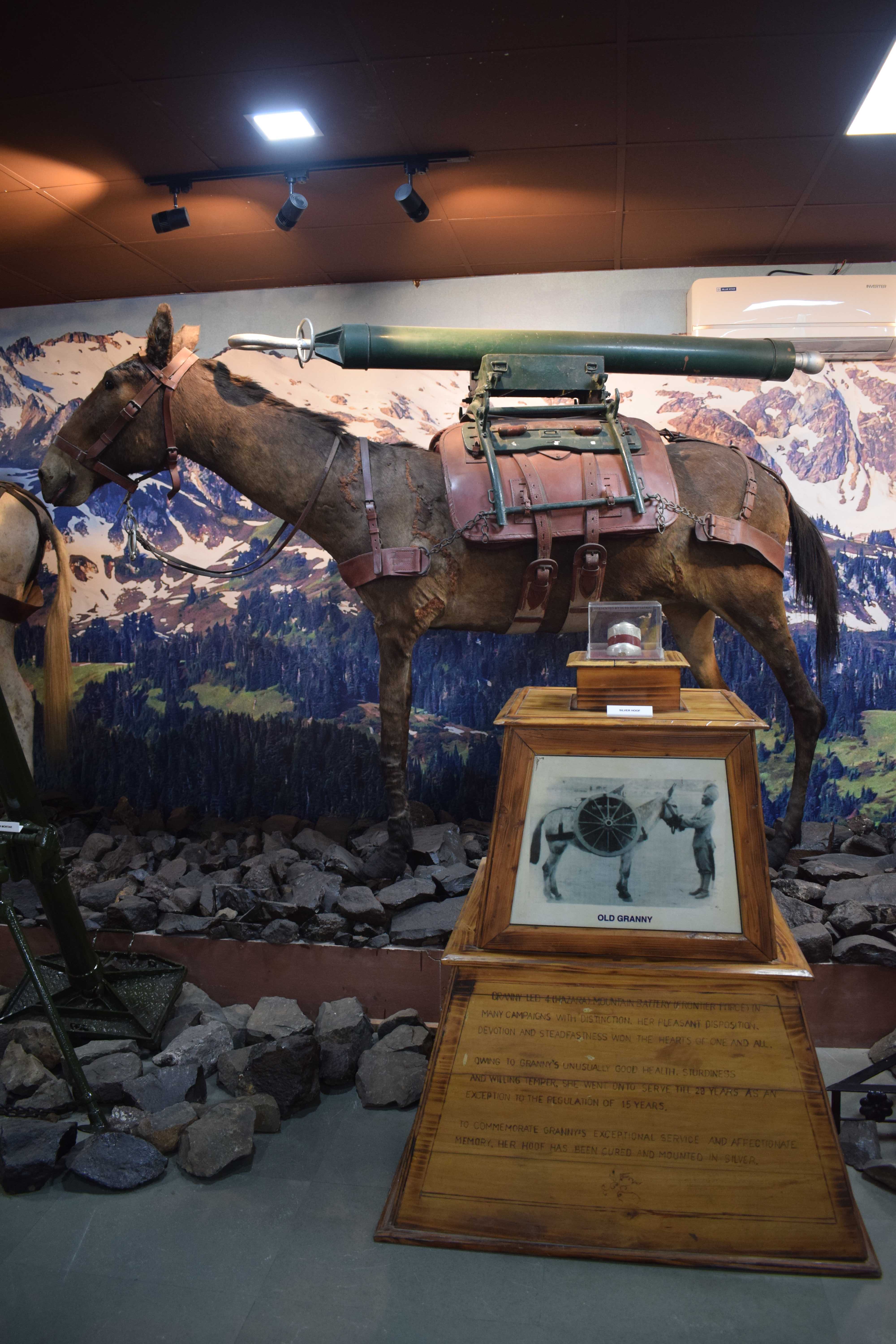 Granny, the mule, who helped during war, Kumaramangalam Artillery Museum, Nashik, Maharashtra, India