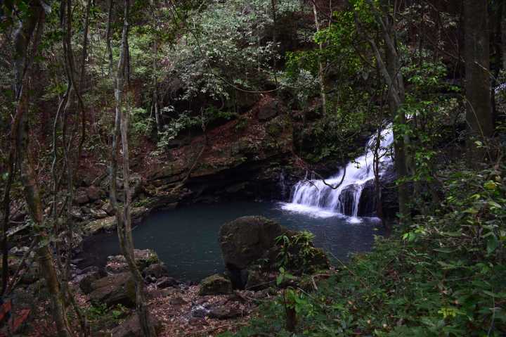 Hiking in Kali Tiger Reserve: An Enchanted Jungle Soujourn