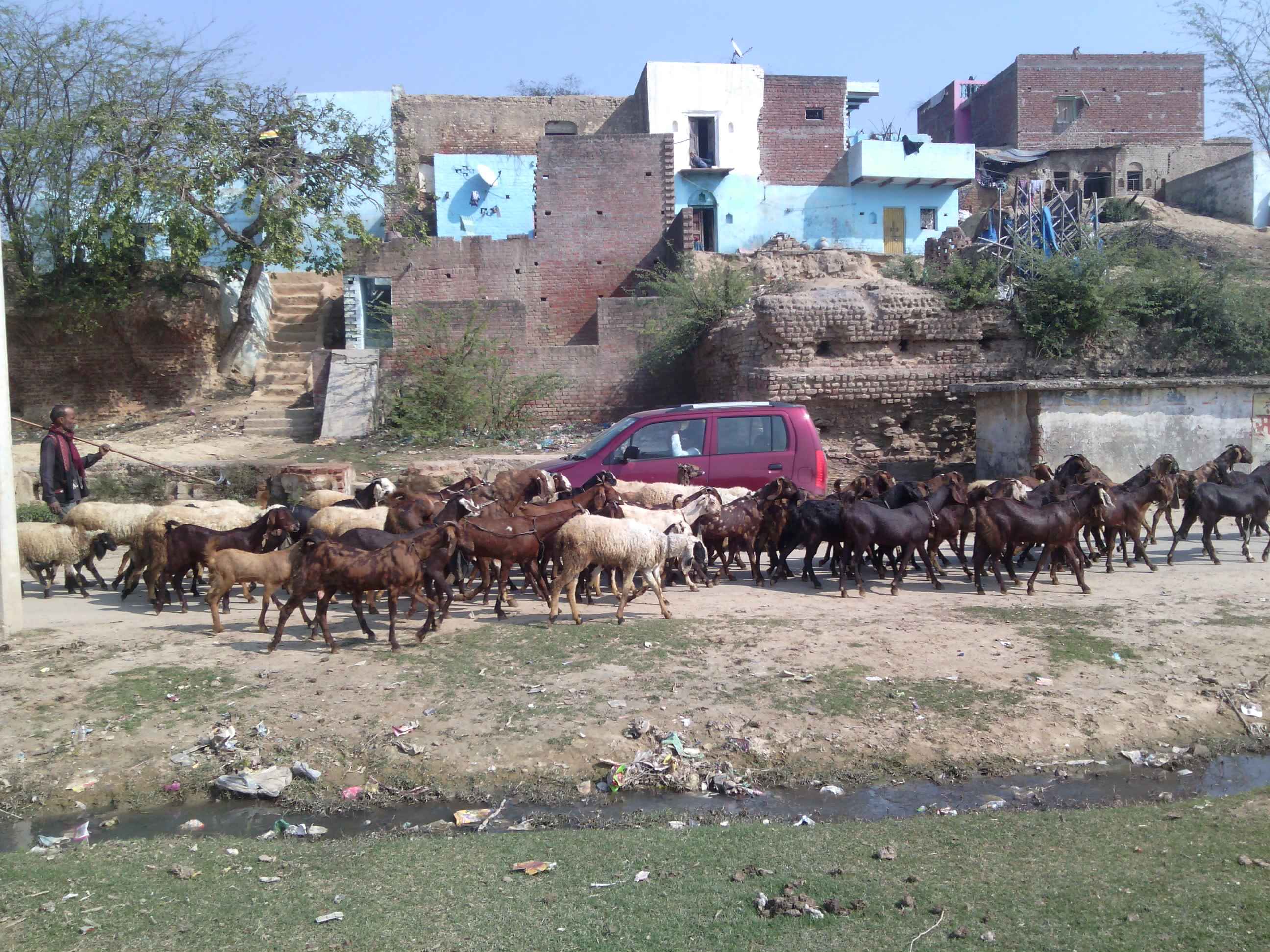 How people live in the interiors of Uttar Pradesh, India