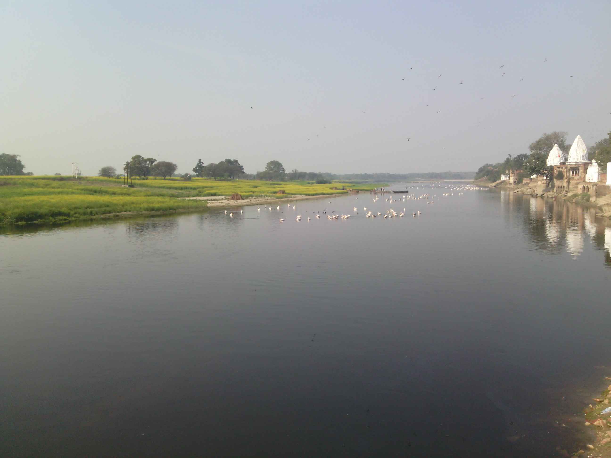 Yamuna flowing behind Bateshwar temple, Interiors of Uttar Pradesh, India