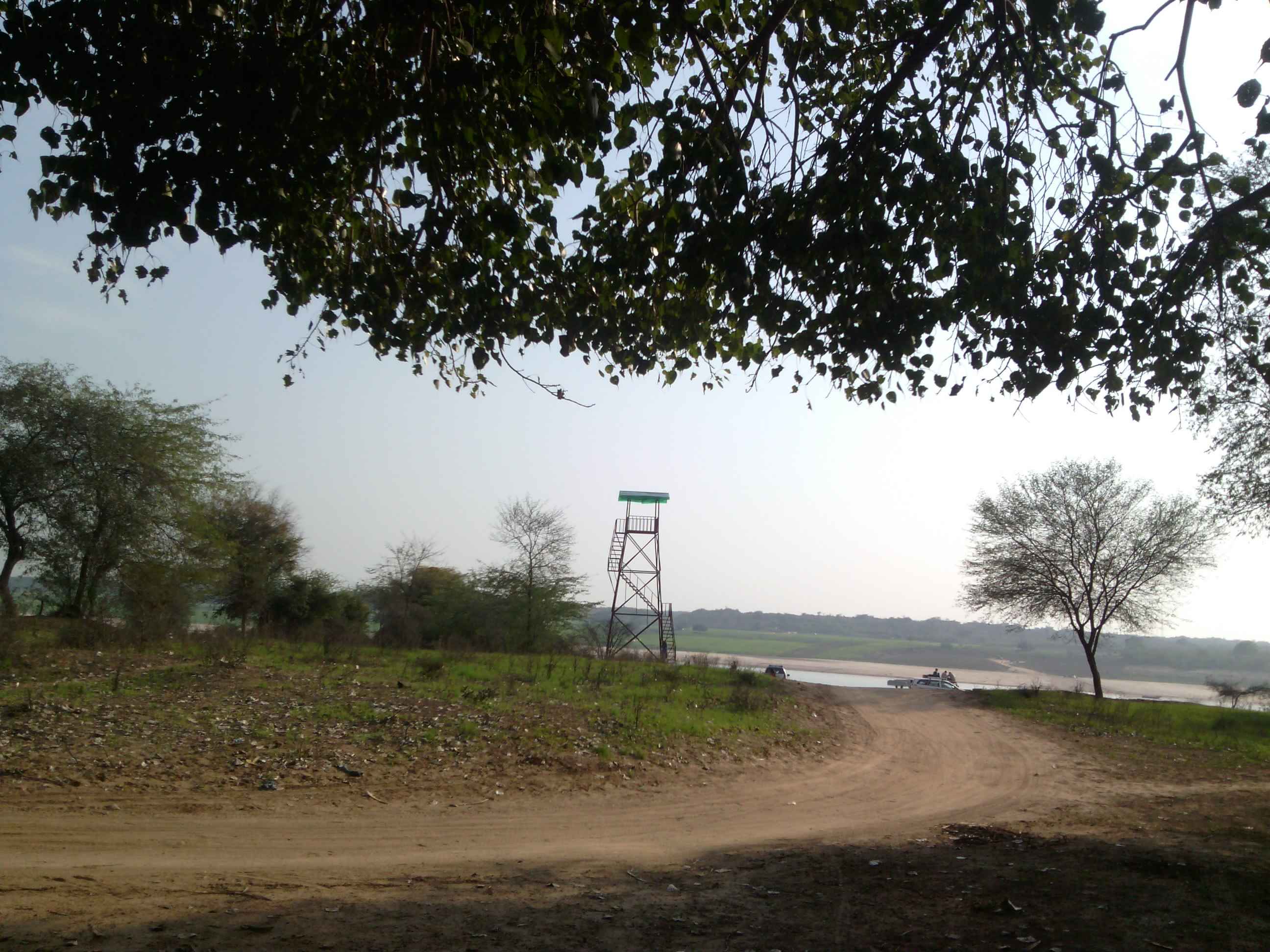 Road to Chambal river, Uttar Pradesh, India