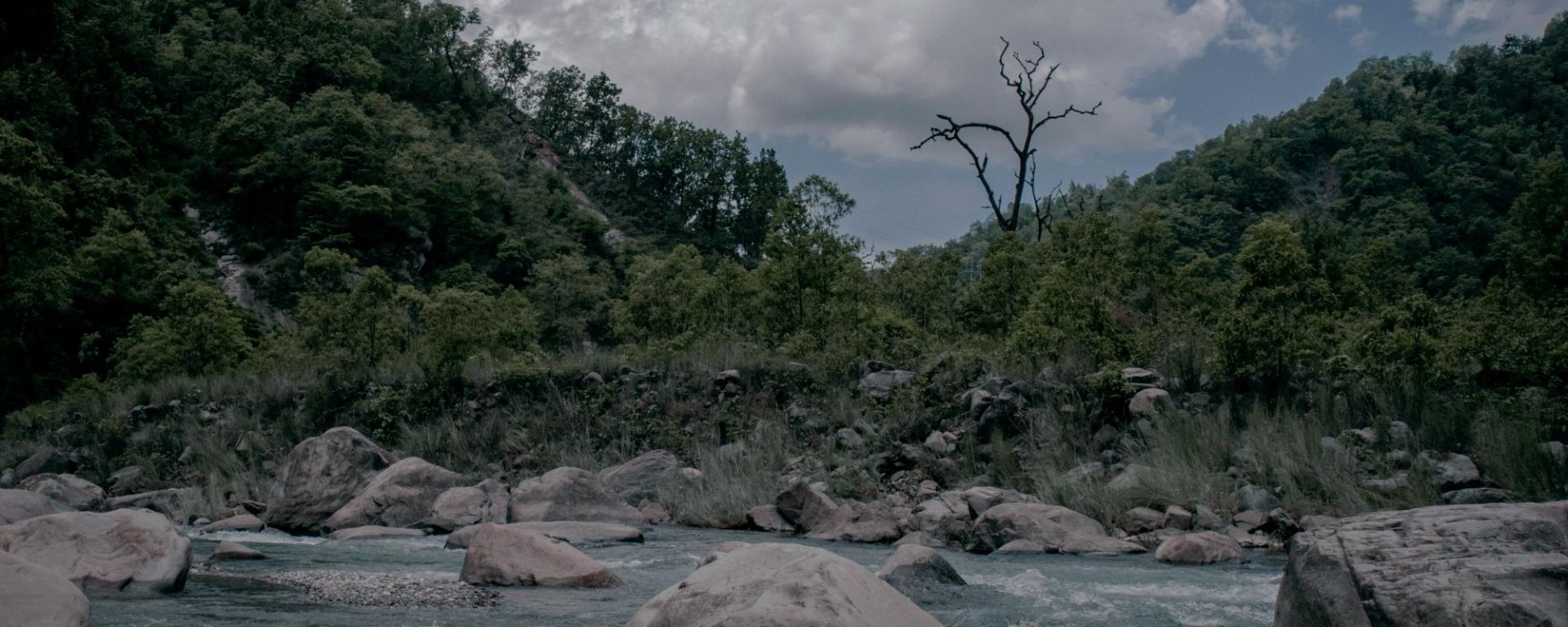 Bhagirathi flowing through Uttarkashi, photo: Ankit Bisht on Pexels