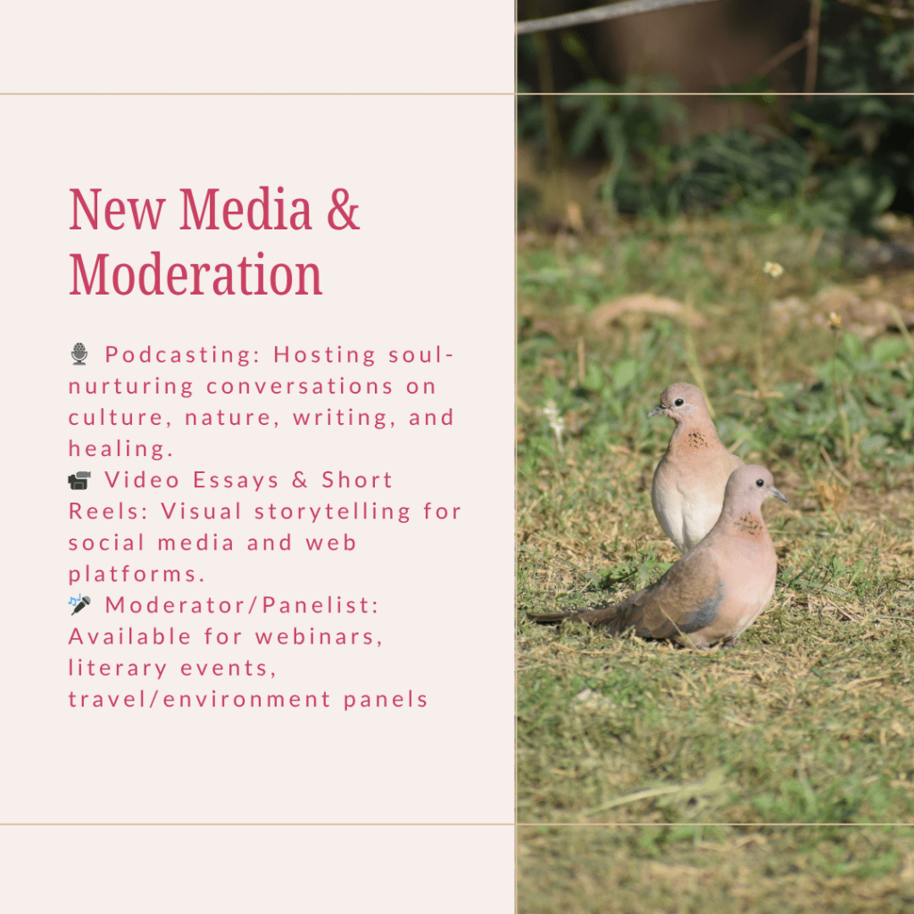 who is ambica gulati, what she brings on the table as a media consultant