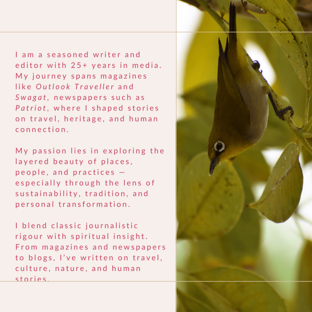 who is ambica gulati, what she brings on the table as a media consultant