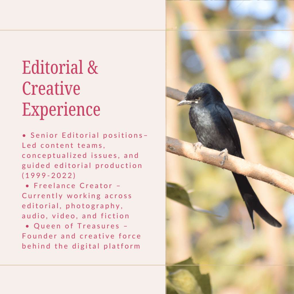 who is ambica gulati, what she brings on the table as a media consultant