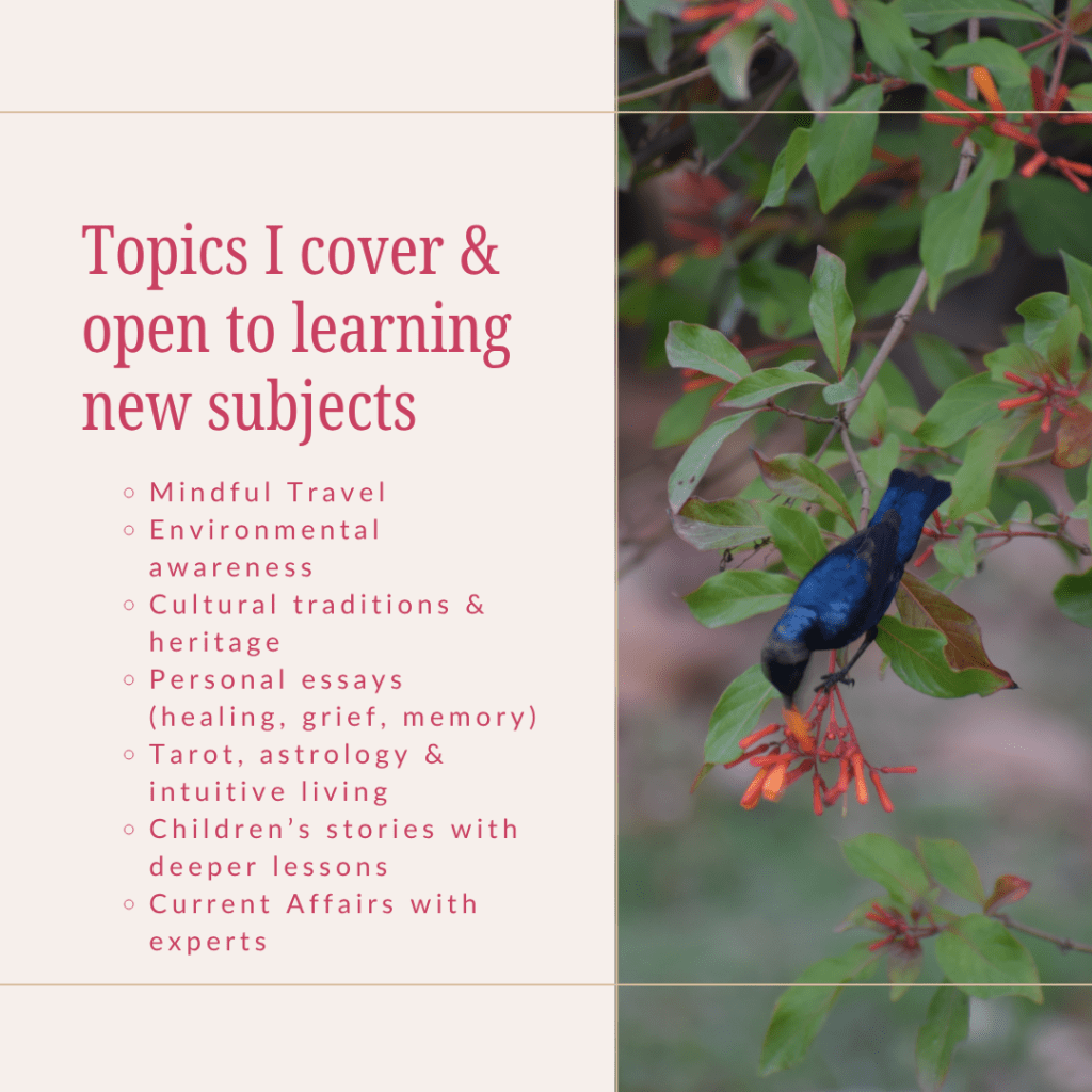 who is ambica gulati, what she brings on the table as a media consultant