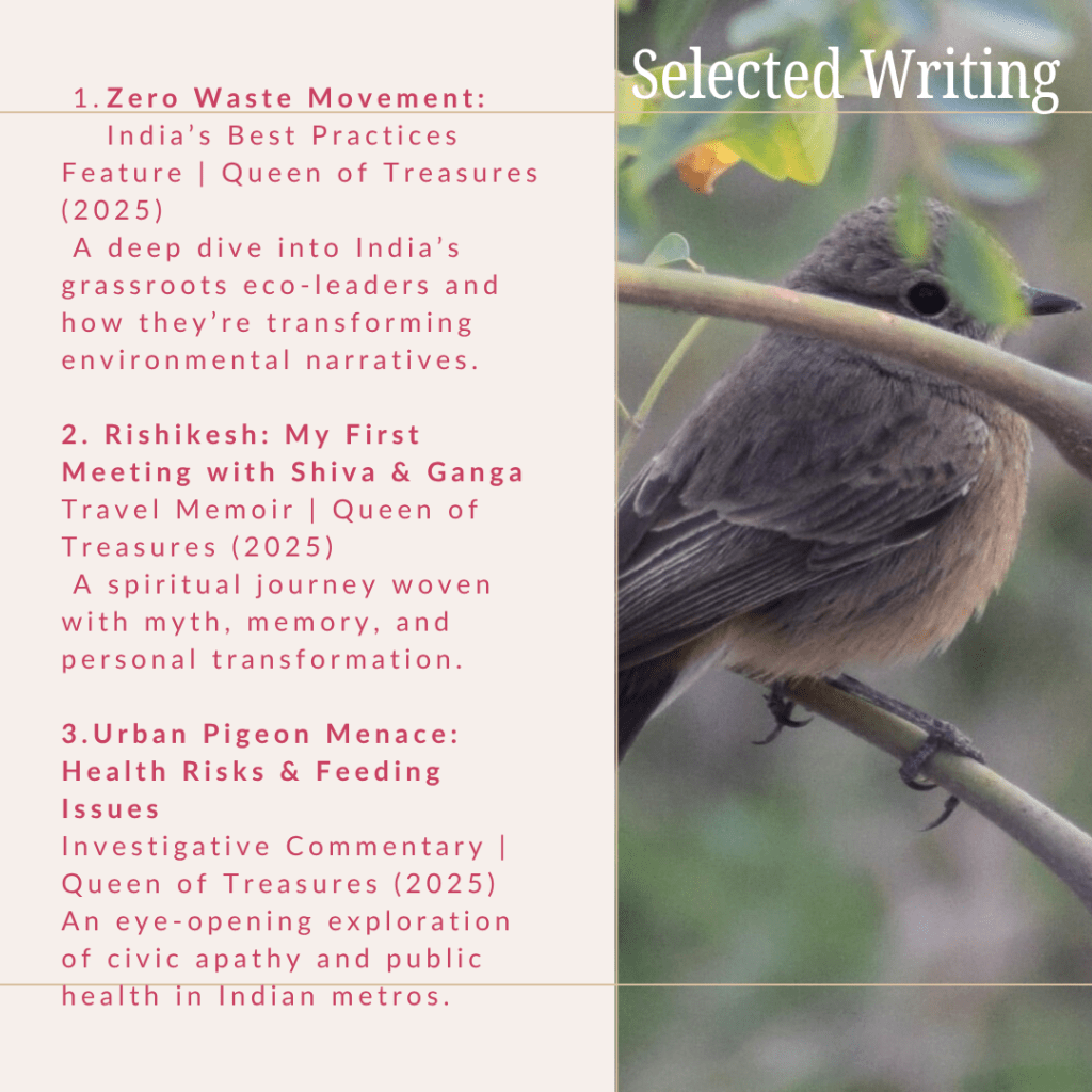 who is ambica gulati, what she brings on the table as a media consultant