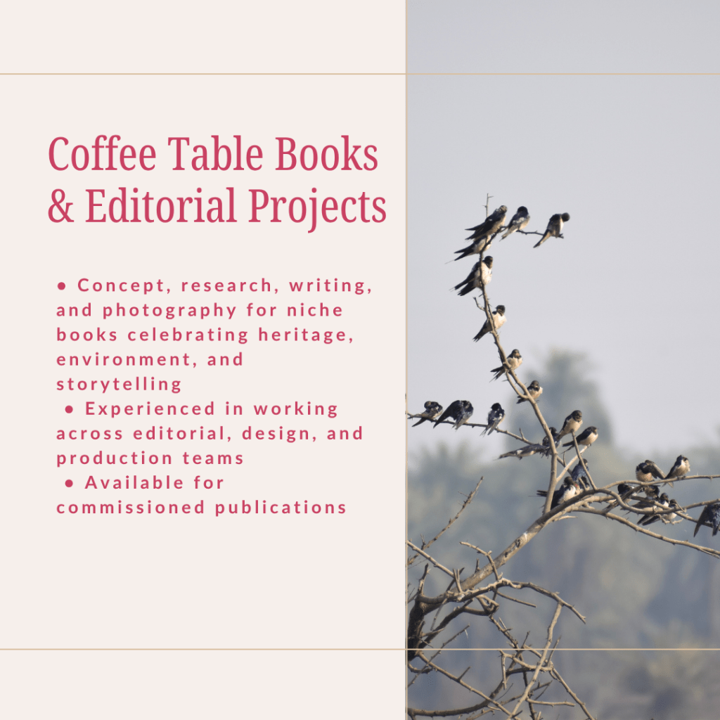 who is ambica gulati, what she brings on the table as a media consultant