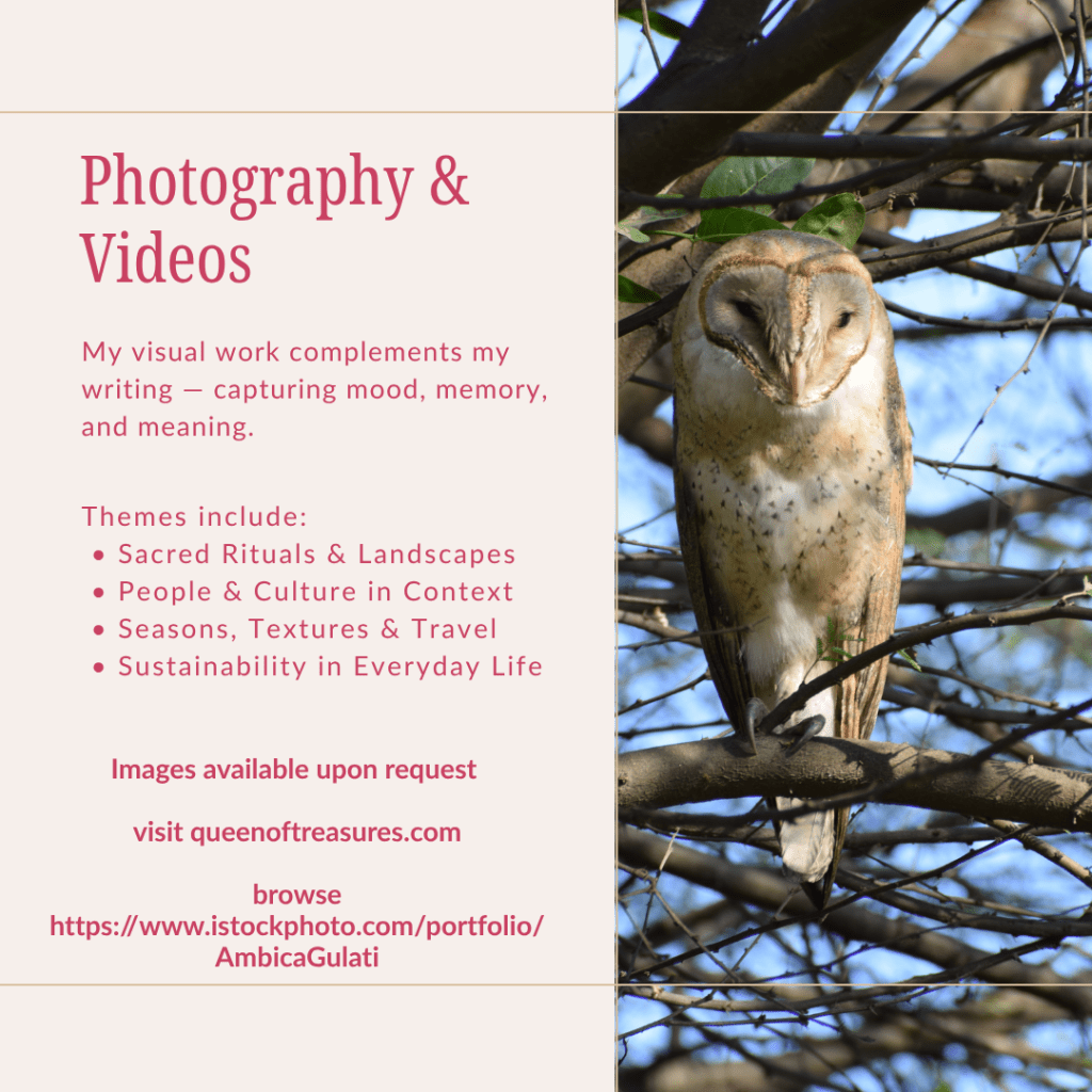 who is ambica gulati, what she brings on the table as a media consultant